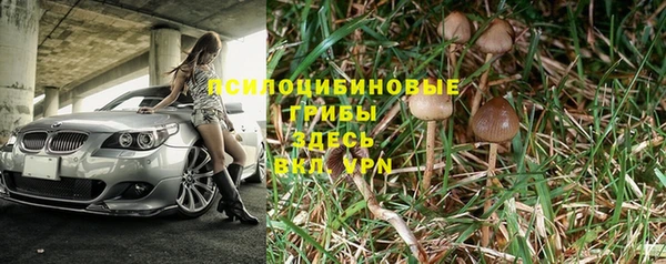 СК Абинск