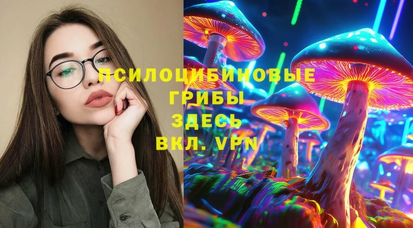 СК Абинск