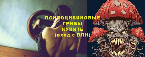 ПСИЛОЦИБИНОВЫЕ ГРИБЫ Абдулино